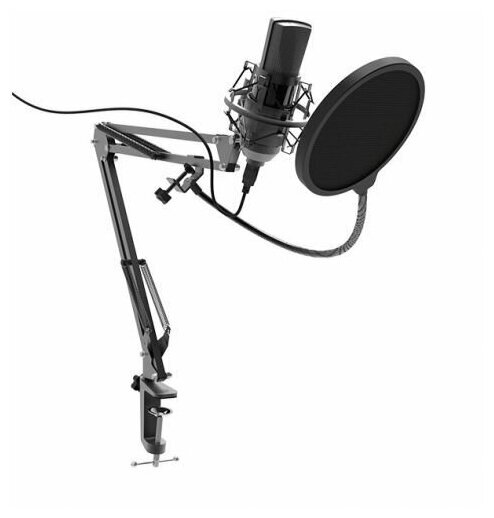 Микрофон Ritmix RDM-180 черный