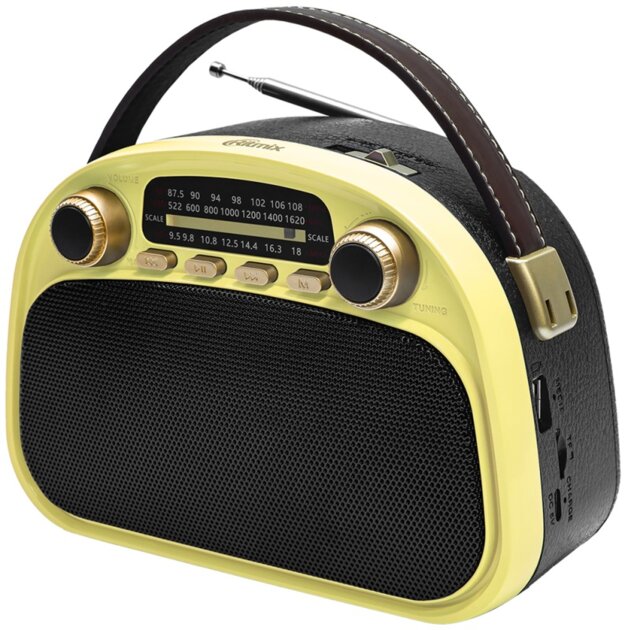 Радиоприемник RITMIX RPR-040 Lemon