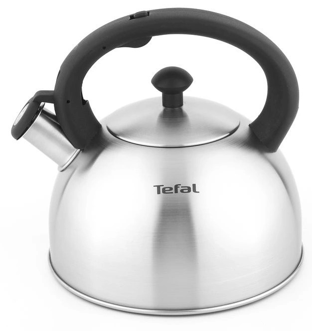 Чайник Tefal Wawe N4210117 2.5л серебристый