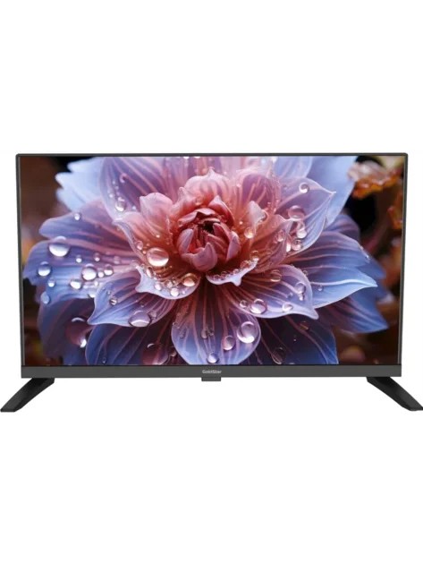 Телевизор 24" GOLDSTAR LT-24R1000 черный 1366x768, HD, 60 Гц