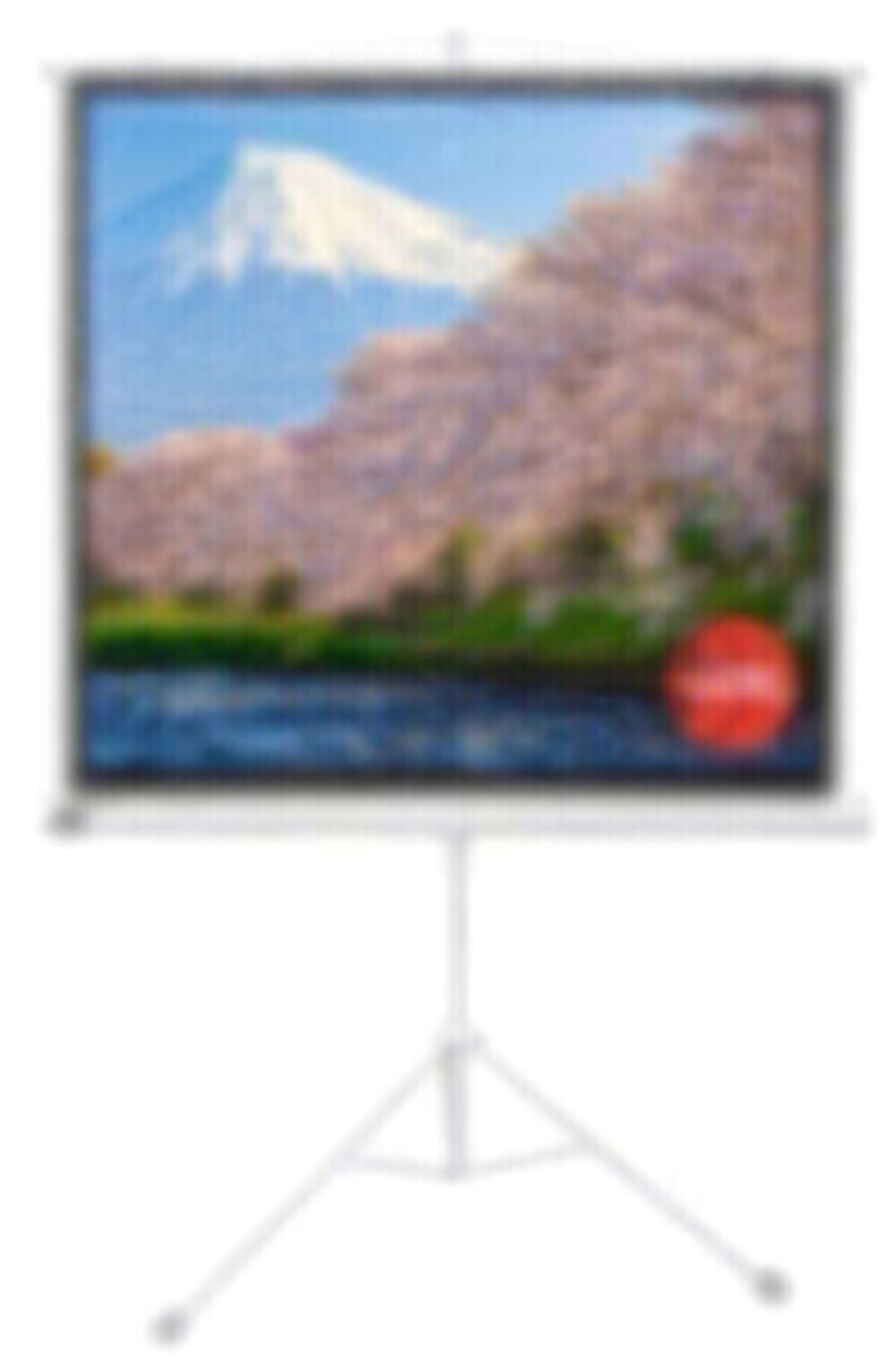 Экран Sakura 180x180см TriScreen 1:1 напольный рулонный белый100' Matt White (MW), серый корпус