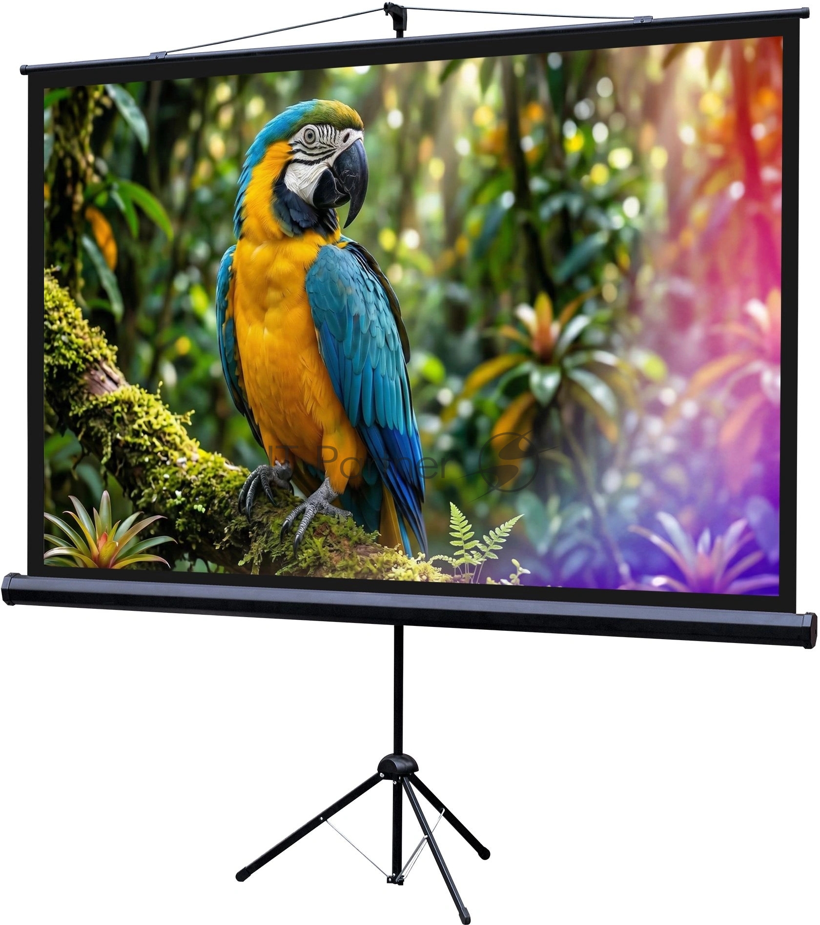 Экран на штативе Lumien Eco View 110x192см (раб.область104х186 см) (84") Matte White 16:9
