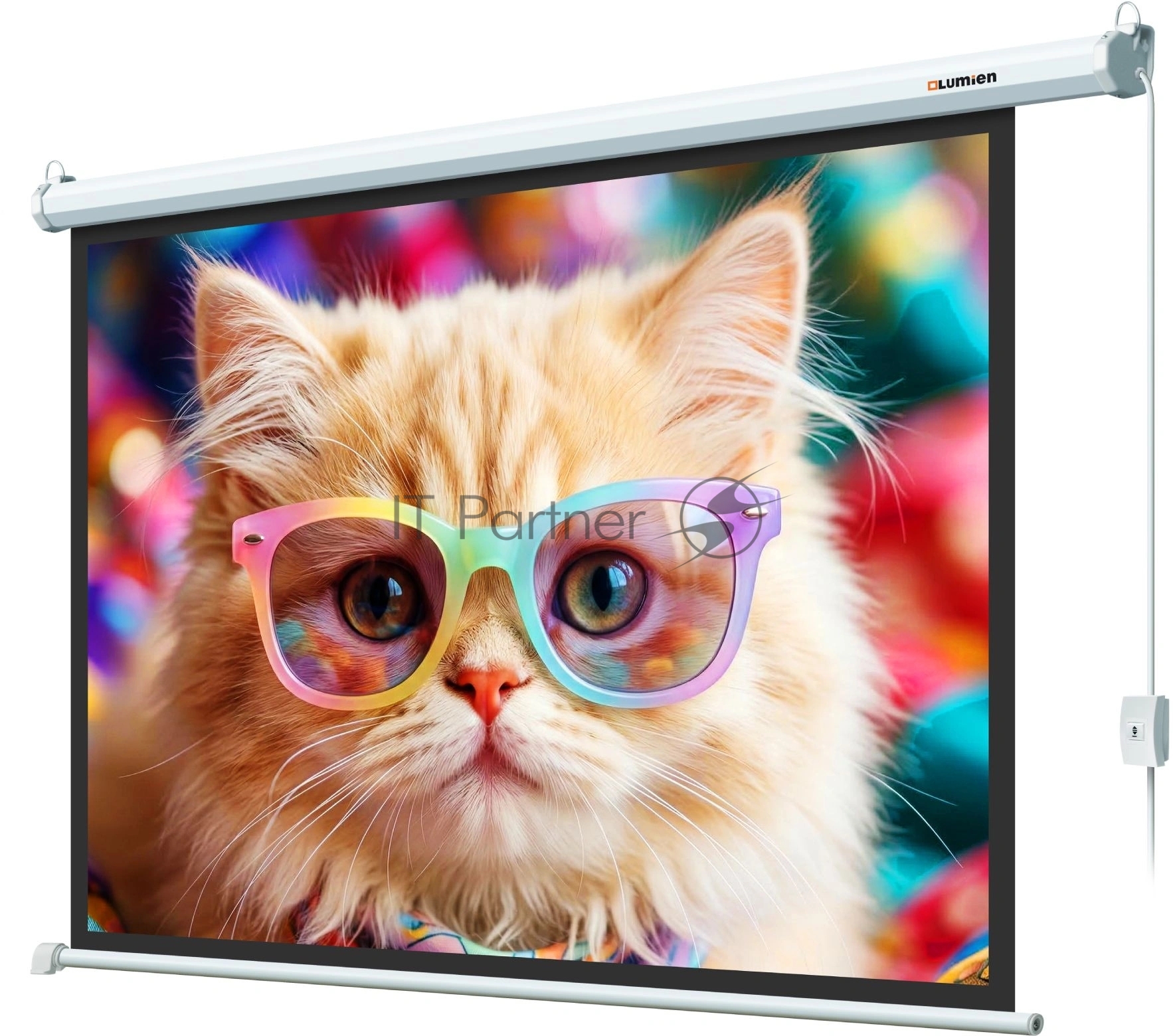 Экран с электроприводом Lumien LEC-100119 Eco Control 157x227 см (раб. область 124х221 см) (100") Matte White, верх.кайма 30 см, черная кайма по периметру 16:9