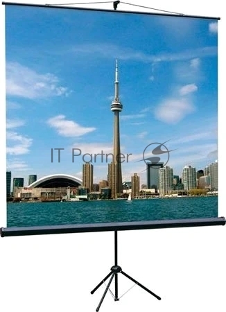 Экран на штативе Lumien LEV-100116 [Eco View] 120х120см (67") Matte White 1:1