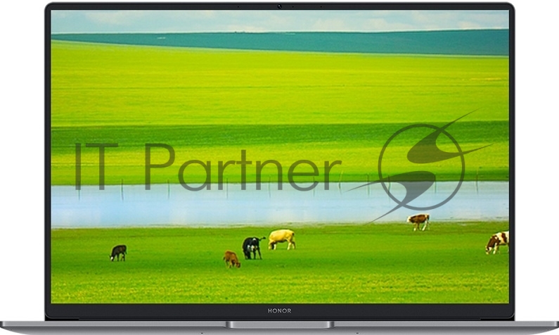 Ноутбук Honor MagicBook X14 Plus 2025 14" RPL UMA 16/512GB Intel WIN 11 Home 5301ALWC