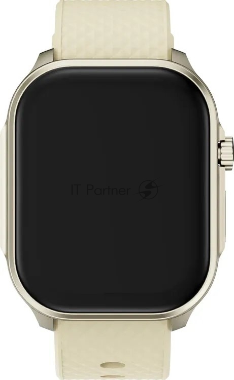 Умные часы Tecno Watch 3 Active, 2.04" IPS, Bluetooth 5.3, USB Type-C, IP68, золотистый