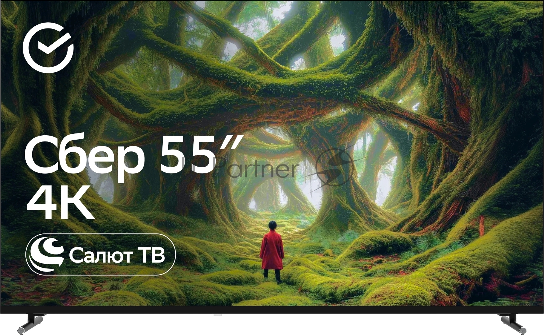 Телевизор 55" SDX-55U5500DBB SBER